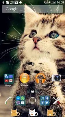 Kitty Theme android App screenshot 6